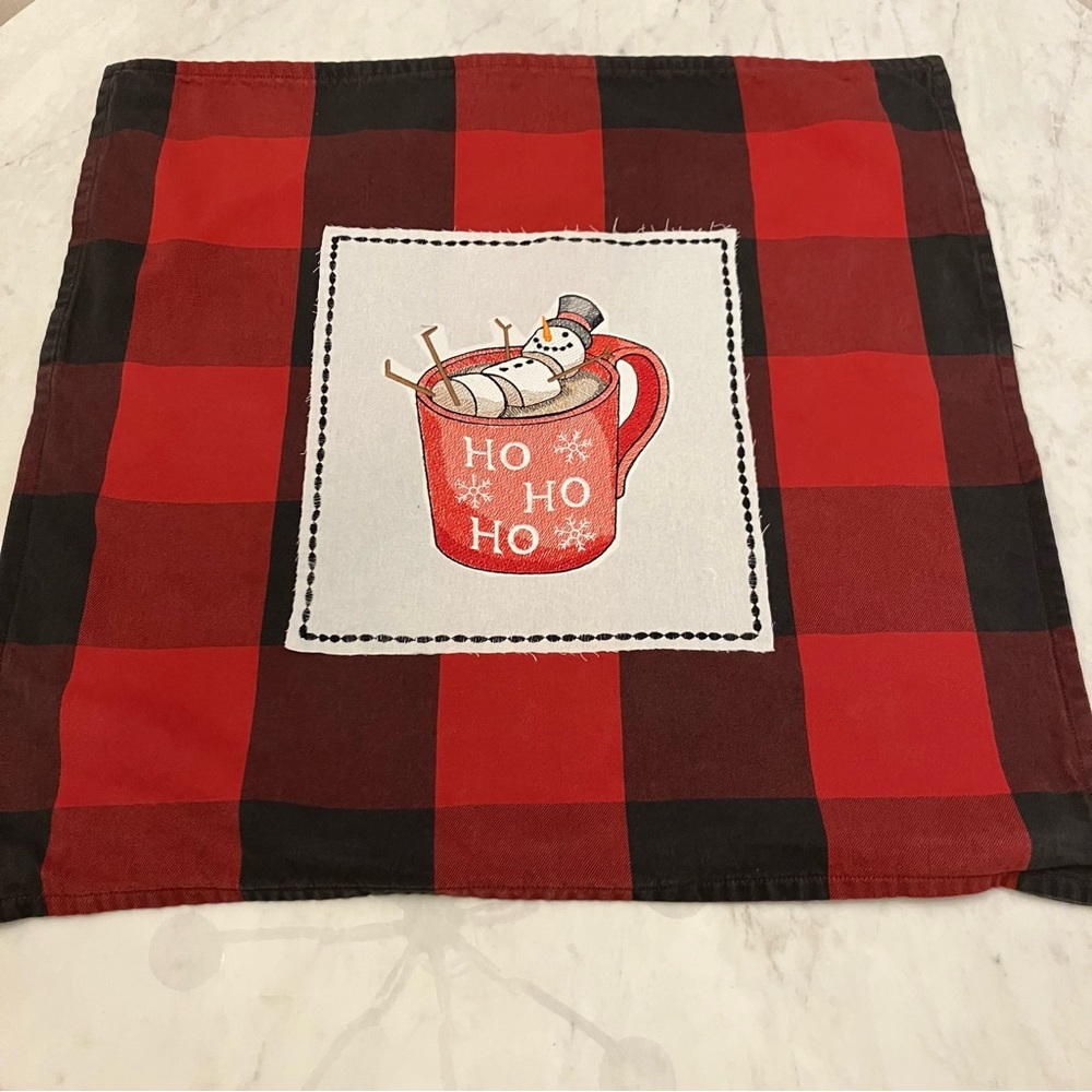 Clearance! Last Price Drop! NWOT PB Upcycled Buffalo Check pillow cover